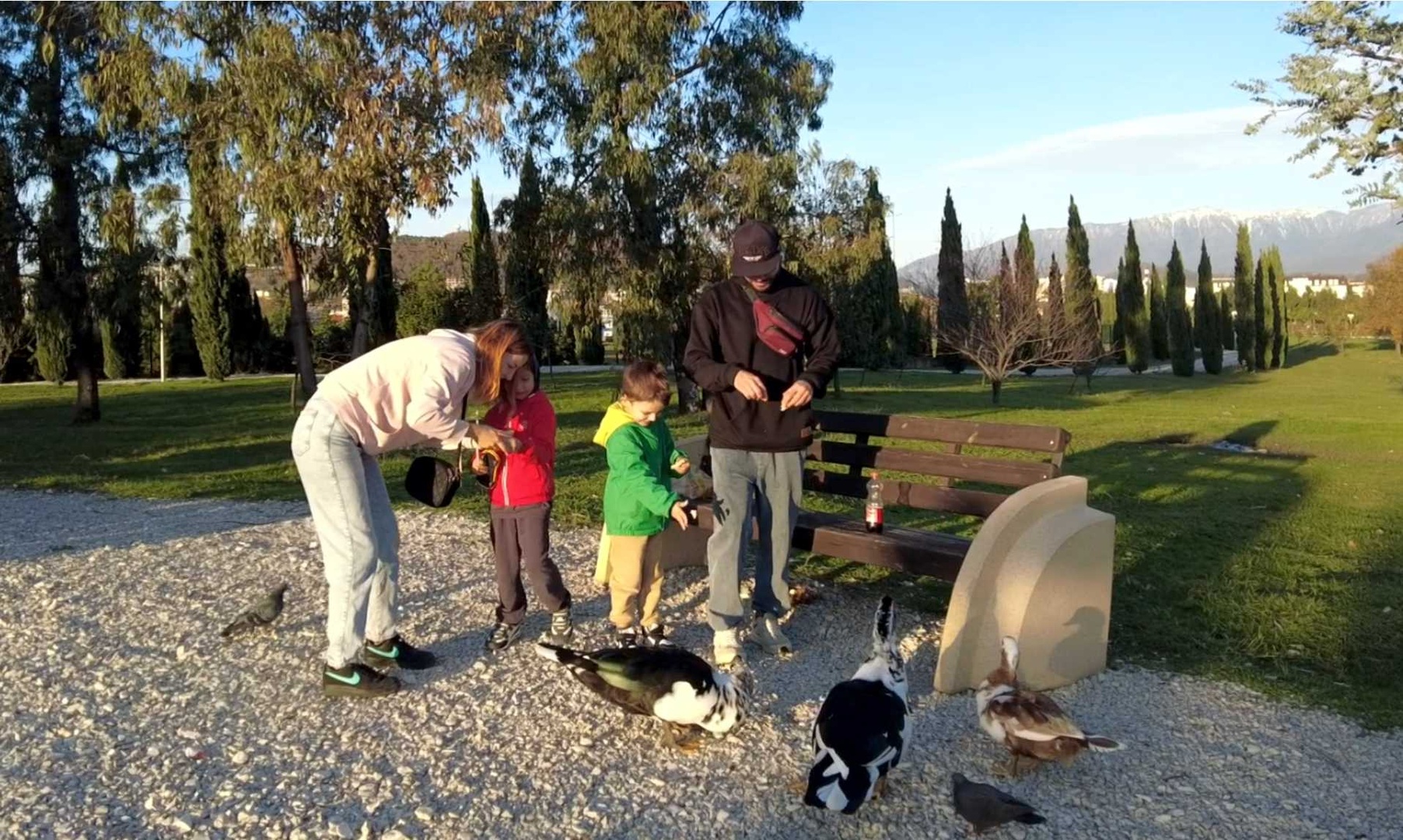 Орнитологический парк Сириуса: заповедник в Имеретинской долине