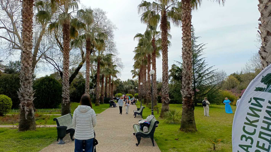 Дендрологический парк «Южные культуры» - Сочи, Адлер, Сириус