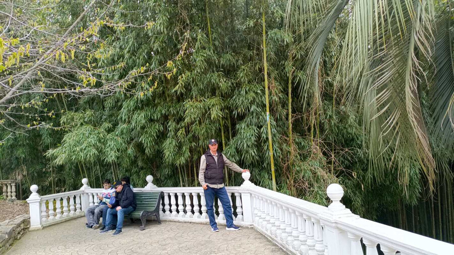 Дендрологический парк «Южные культуры» - Сочи, Адлер, Сириус